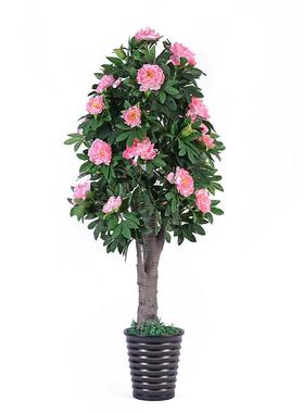 仿真果花树办公家多用装盆栽现代简365料约塑过胶饰无异居味直发