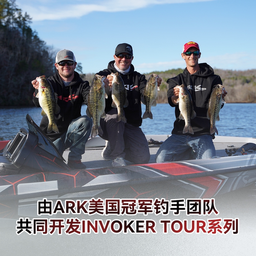 ARK路亚竿美系独节竿正品全新升级IVT系列竞技竿鲈鳜鱼高感度虫竿 - 图0