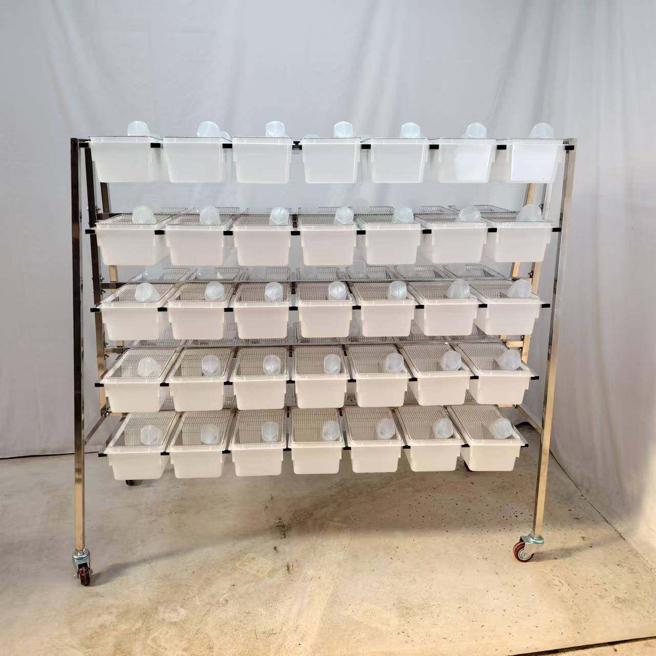 笼不锈实验鼠笼架含70个盒双多面挂式钢CP3实验室小鼠笼架VSE种款,淘宝优惠券,粉丝福利购,淘宝优惠卷