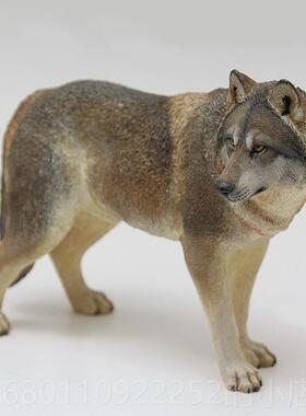 正品XKJ1/6 草猛原狼模型真兽狼摆件兵人仿动物周边创意潮玩手办