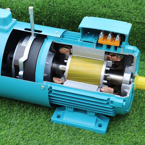 苏南牌铸铁物流设备 传送带 常州减速1450 rpm 4极电动机静音 - 图2