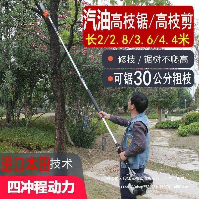 多能进口油高枝油锯汽篱绿修剪机园林绿功化1果树加长高枝锯高枝,淘宝优惠券,粉丝福利购,淘宝优惠卷