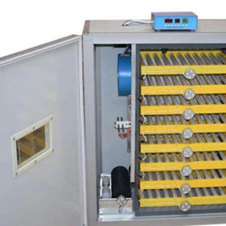 鸡笼全自动智能型小鸡鸭鹅鸽子孵化机智能禽蛋孵化器中小鸡笼,淘宝优惠券,粉丝福利购,淘宝优惠卷