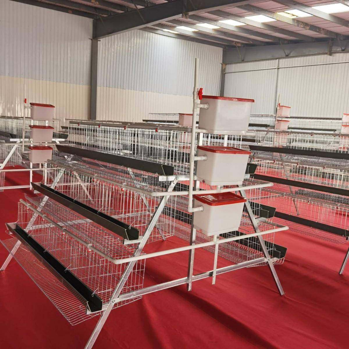 A型阶梯蛋鸡笼源头厂家三层四门阶梯蛋鸡笼热镀锌鸡舍家用养殖场,淘宝优惠券,粉丝福利购,淘宝优惠卷