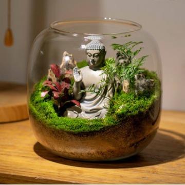 大号微景观生态瓶造景玻璃花瓶水培植物玻璃瓶鱼缸摆件苔藓瓶带灯 - 图1