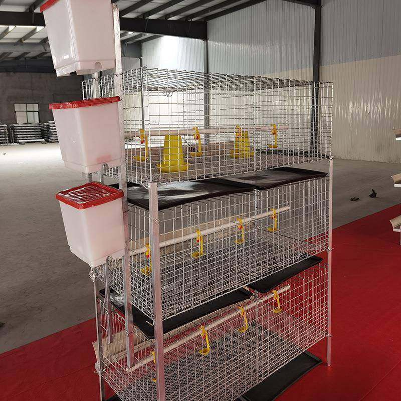 立式三层四层两门冷镀锌后热镀简易肉鸡笼鸡舍养殖场配套齐全坚固,淘宝优惠券,粉丝福利购,淘宝优惠卷