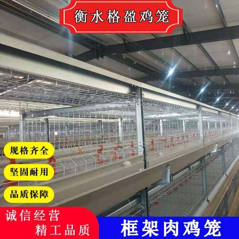 H型框架式自动化蛋鸡养殖笼肉鸡框架笼全套鸡笼设备,淘宝优惠券,粉丝福利购,淘宝优惠卷