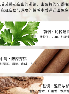 凯文克莱FREE男士木质淡香水
