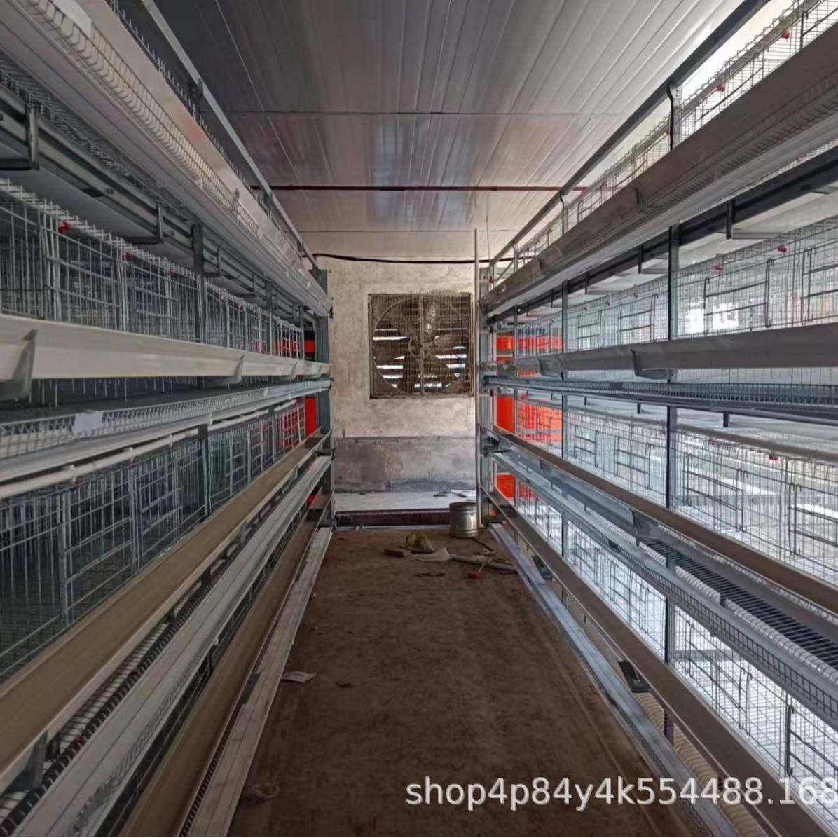 小层叠蛋鸡自动化畜牧养殖设备家禽经济型框架式热镀锌叠式养鸡笼,淘宝优惠券,粉丝福利购,淘宝优惠卷