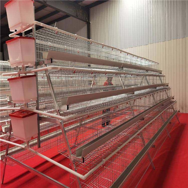 四层五门阶梯白槽蛋鸡笼镀锌工艺结实耐用不易腐蚀,淘宝优惠券,粉丝福利购,淘宝优惠卷