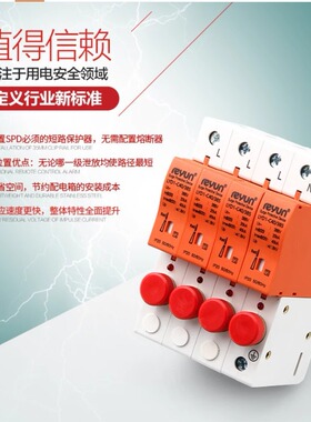 雷源LYD1-R20/R40/R60/R80熔断器组合电涌保护器熔断一体避雷器