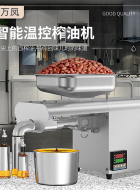 榨油机家用小型全自动多功能不锈钢智能家庭花生冷热商用炸油机器