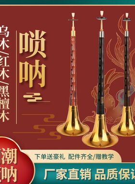 演奏乌木黑檀木唢呐乐器全套初学者专业入门d调D调民族大小号喇叭