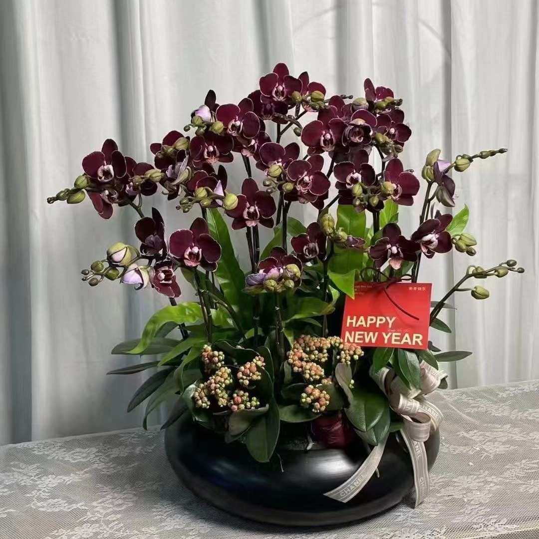 40cm口径纳米金蝴蝶兰铁艺花盆花器金属银柳盆器仿真花新中式摆件,淘宝优惠券,粉丝福利购,淘宝优惠卷