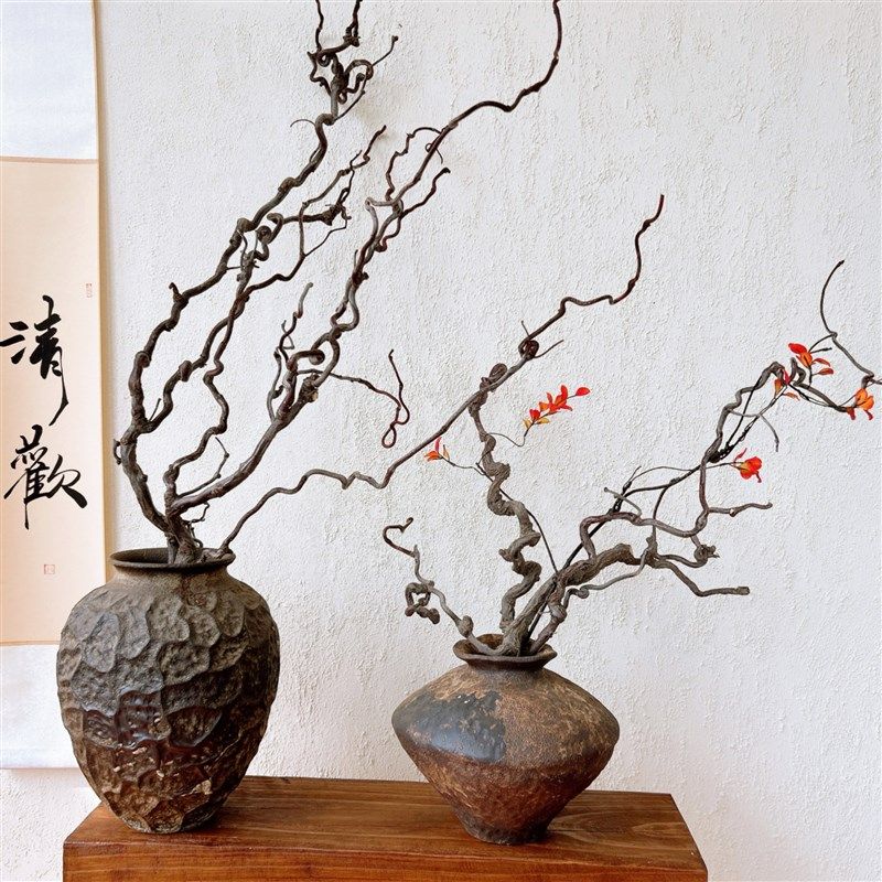 龙枣枝干树枝侘寂禅意中式插花装饰客厅家居酒店茶室摆设艺术枯枝,淘宝优惠券,粉丝福利购,淘宝优惠卷