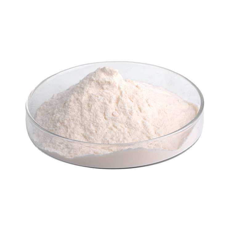 纳豆激酶5000Fu/g-30000Fu/g 纳豆提取物 多规格供应 厂家现货,淘宝优惠券,粉丝福利购,淘宝优惠卷