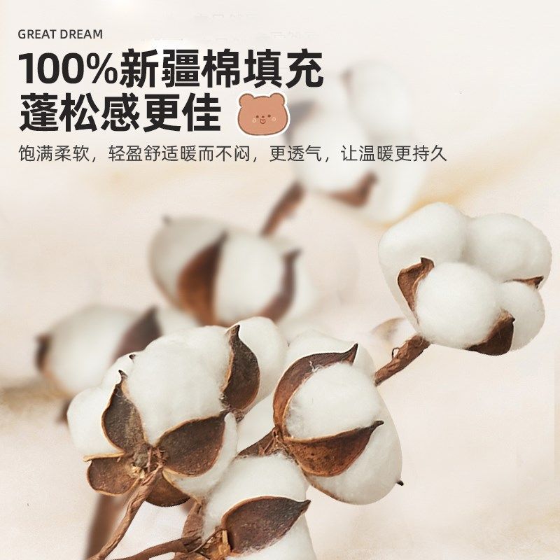 双层纱新疆棉花被子冬被棉花被纯全棉冬季加厚保暖被芯单人春秋被,淘宝优惠券,粉丝福利购,淘宝优惠卷