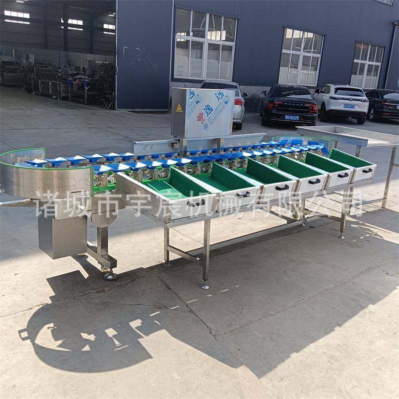 鸡爪琵琶腿全自动重量分选机家禽皮带式料盒式大小分级机牡蛎分选,淘宝优惠券,粉丝福利购,淘宝优惠卷