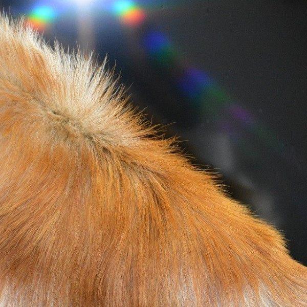 欧式真皮毛沙发垫P20皮褥子汽车坐垫靠垫飘窗垫户外防潮垫保温垫,淘宝优惠券,粉丝福利购,淘宝优惠卷