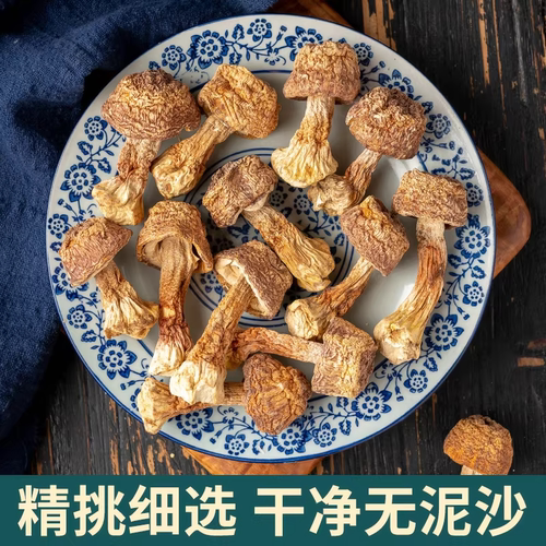 新货姬松茸干货云南特产精选非特级无硫松茸菌巴西菇蘑菇菌菇250g - 图0