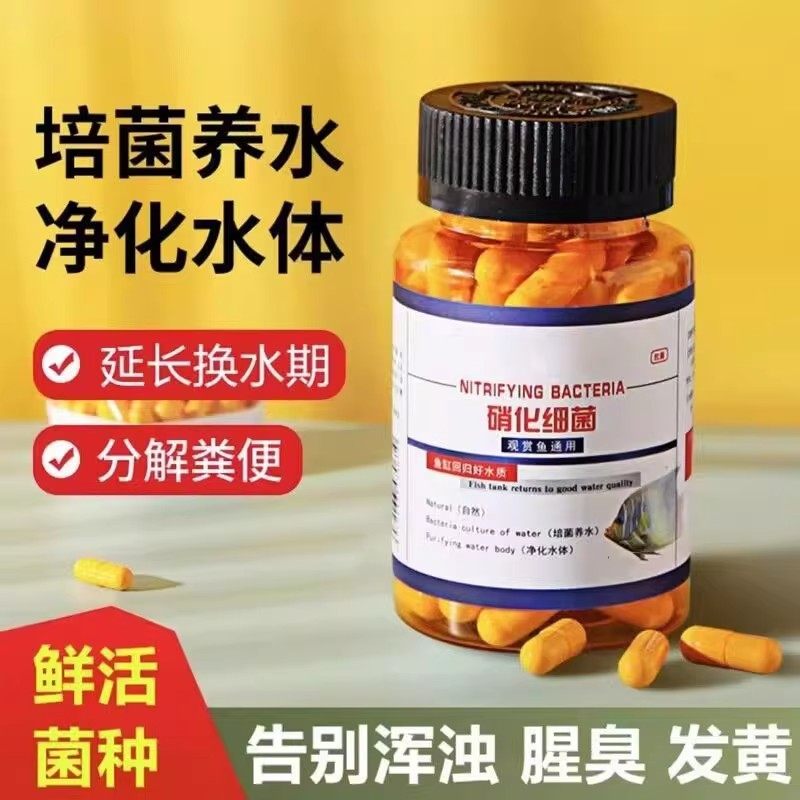 鱼缸硝化细菌胶囊去除腥味水质净化打造空气缸分解鱼粪鱼缸除臭片,淘宝优惠券,粉丝福利购,淘宝优惠卷