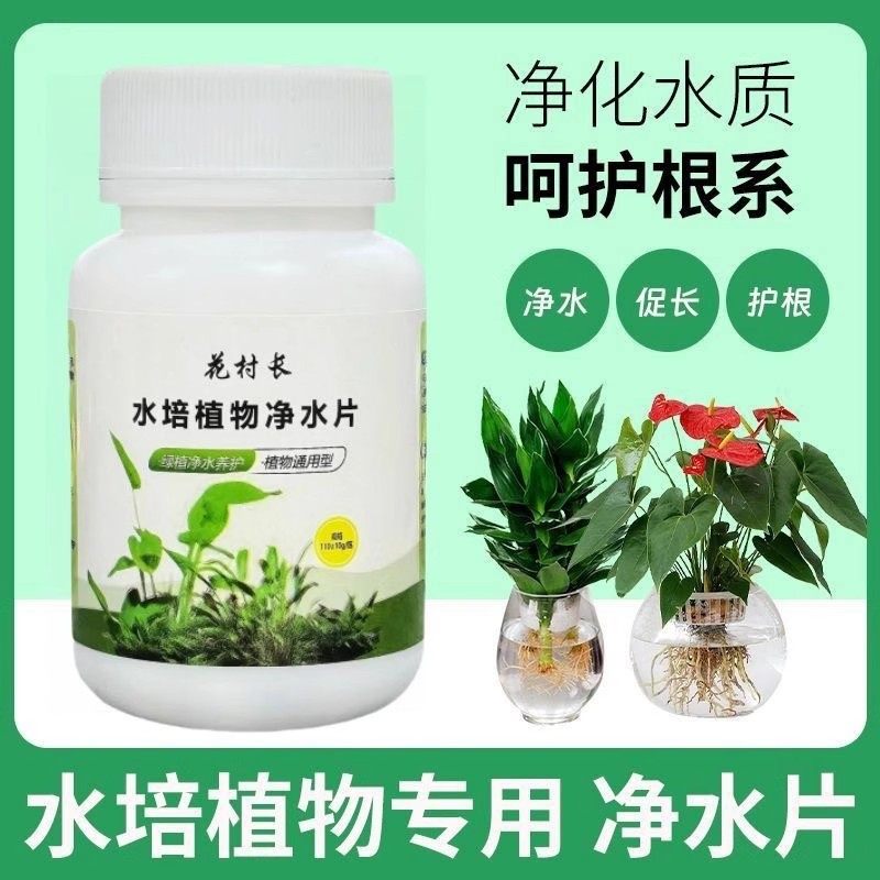 鲜花保鲜消毒片水培植物专用净水片富贵竹碗莲净水保鲜花卉除藻片,淘宝优惠券,粉丝福利购,淘宝优惠卷