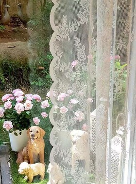 小窗户纱帘洛可可隔断防蚊门免打孔白色蕾丝飘窗女生背景梦幻窗帘