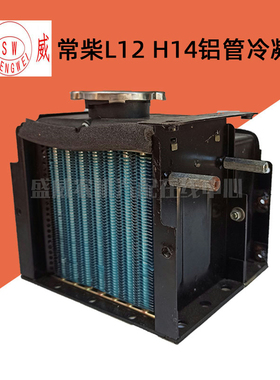 常柴单缸柴油机 L12风冷水箱冷凝器 水冷悍马轻型H14循环水箱配件