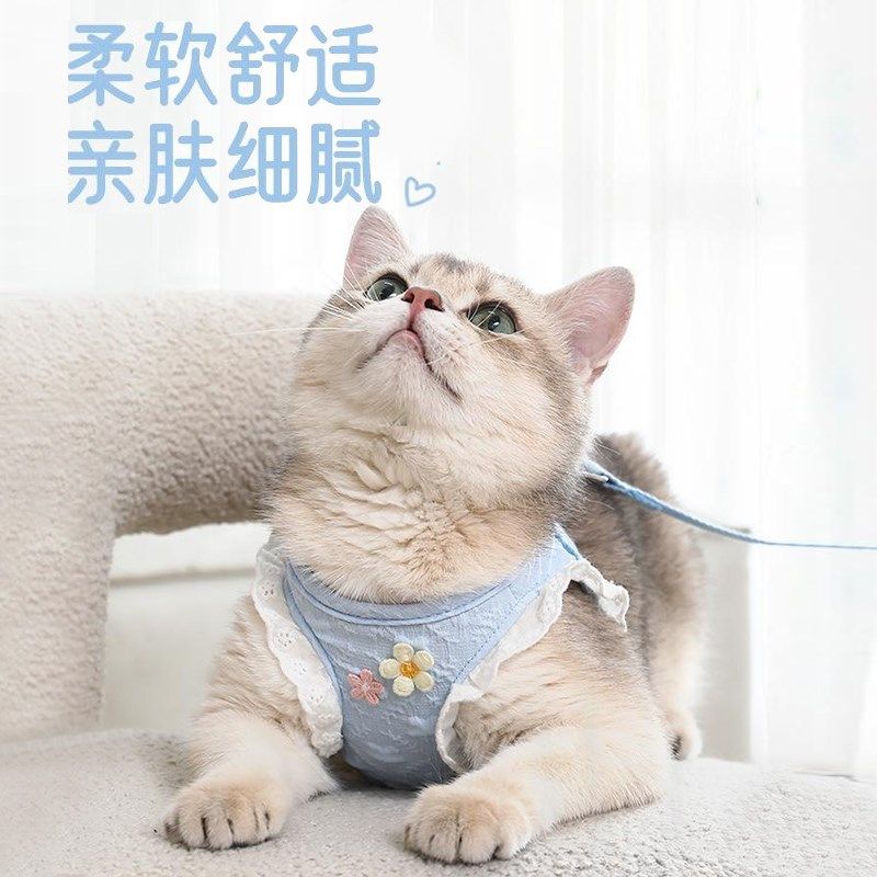 猫咪牵引绳防挣脱外出专用溜猫背心式胸背带小型犬狗狗防跑遛猫绳,淘宝优惠券,粉丝福利购,淘宝优惠卷