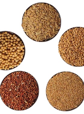 五谷杂粮净宅搬家用 搬家仪式用品带壳带皮 新房新居乔迁五谷丰登