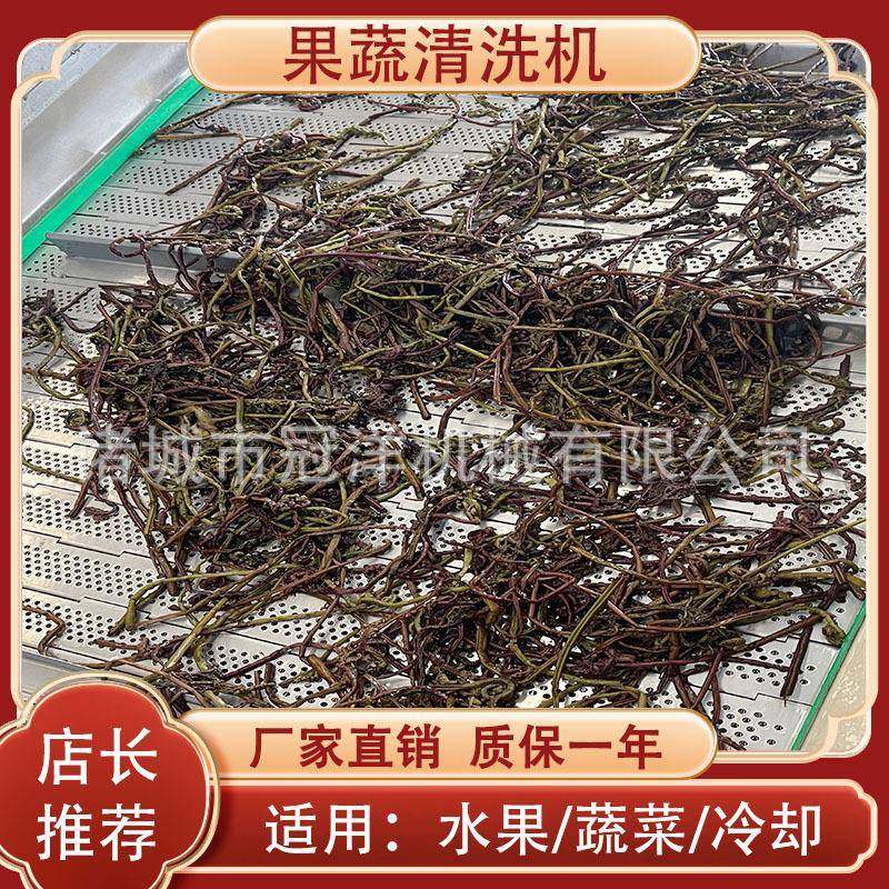 商用蔬菜清洗机洗菜机器大型果蔬气泡清洗机净菜加工生产设备,淘宝优惠券,粉丝福利购,淘宝优惠卷