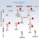 Dimming Master Liquid Foundation 10 Color Test Card 7.6ml Concealer Long-lasting Native Glow