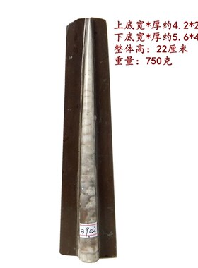 震旦角化石镇纸镇尺摆件菊石角石无脊椎动物9叶虫天然古生物9三99