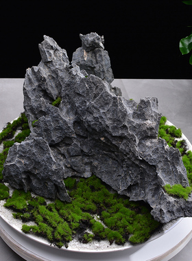 青龙石一物一拍造景石原石品成鱼缸假山草缸玄石中式关头奇石摆件