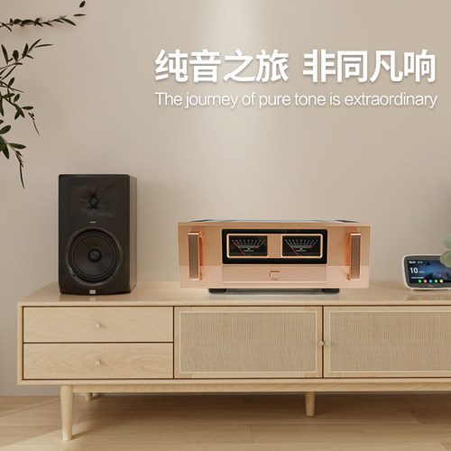 参考金嗓子E405 甲乙类300W大功率功放机 家用hifi发烧级纯后级 - 图0