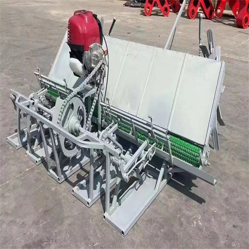 人工手动小型插秧机农用耕种机械 手推式水稻新式六行插禾机,淘宝优惠券,粉丝福利购,淘宝优惠卷