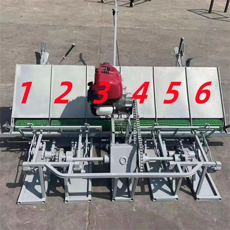 人工手动小型插秧机农用耕种机械 手推式水稻新式六行插禾机,淘宝优惠券,粉丝福利购,淘宝优惠卷