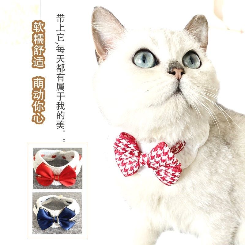 手工编织针织围脖饰品毛线宠物项圈猫咪项圈宠物可爱项圈布偶美短,淘宝优惠券,粉丝福利购,淘宝优惠卷