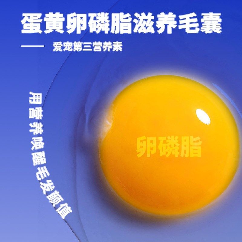 申亚卵磷脂深海鱼油片宠物猫咪狗狗专用防掉毛脱毛鱼肝油美毛护肤,淘宝优惠券,粉丝福利购,淘宝优惠卷