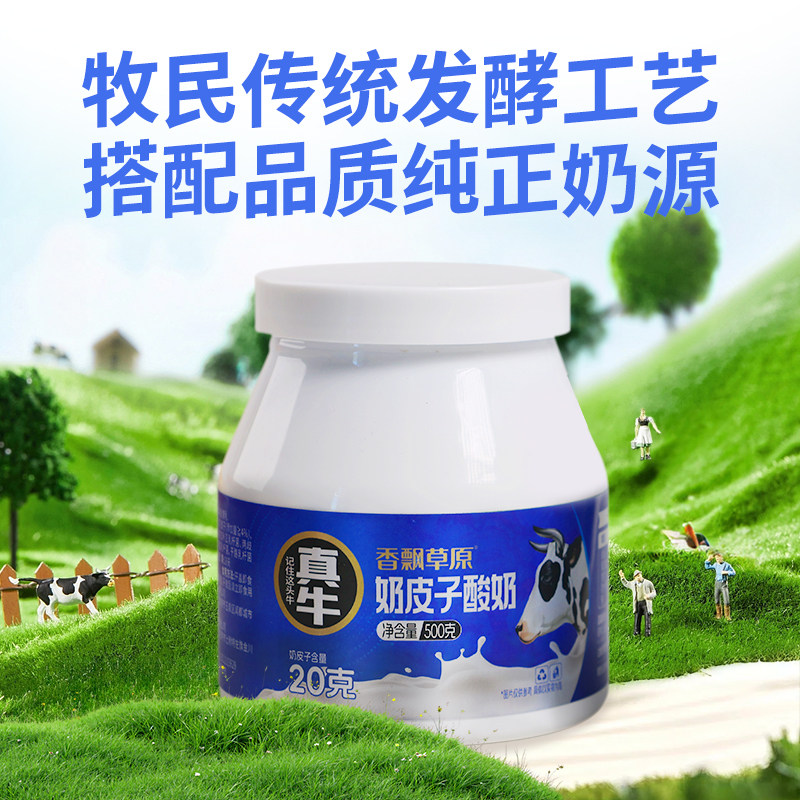 香飘草原内蒙古奶皮子酸奶500g×2瓶传统发酵乳奶制品冷链直发