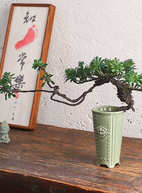 古风仿真绿植摆件盆景迎客松红枫仿真花玄关茶室茶空间酒店装饰品