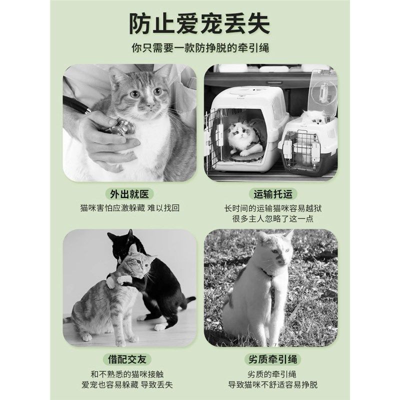 猫咪牵引绳遛猫绳外出溜猫绳栓猫绳牵猫绳防挣脱猫猫可调节背心式,淘宝优惠券,粉丝福利购,淘宝优惠卷