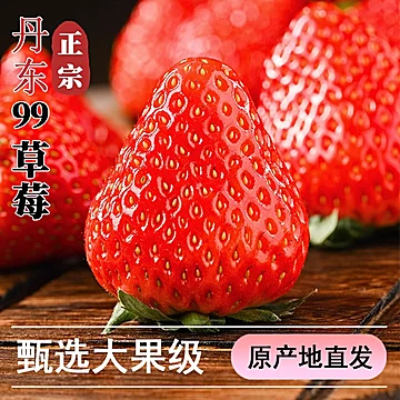 丹东99奶油草莓超大500g*2[30元优惠券]-寻折猪