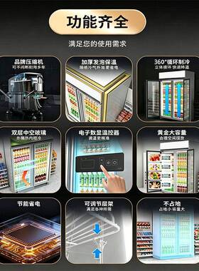 饮料冷藏展示柜商用大容量保鲜冷柜立式冰柜便利店陈列柜跨境出口