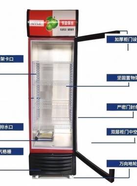 啤酒展示饮料柜水果冷藏柜商用门冰箱立式双门冷柜蔬菜保鲜冰柜