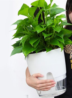 ABS Automatic Self Watering Flower Pot for Succulent Plants