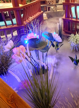 景观造雾水池喷雾超声波雾化头假山流水雾化起雾器水景烟雾制雾机