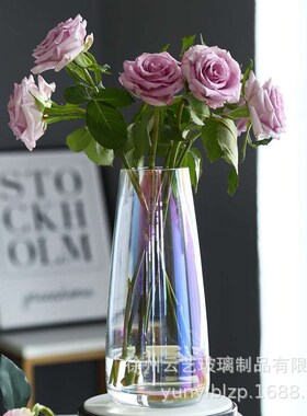 Nordic Ins Style Simple Fantasy Glass Vase Hydroponic Flower