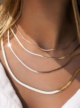 Vintage snake bone chain necklace复古蛇骨链项链百搭时尚首饰