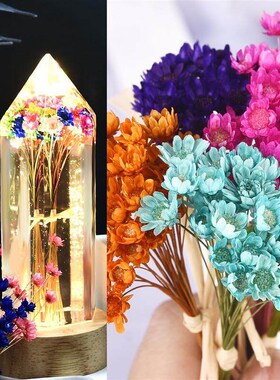 30Pcs Dried Flowers UV Resin Filler Mini Brazil Star Chrysan